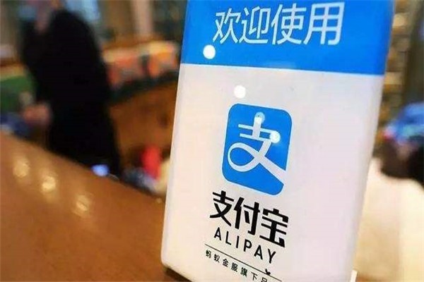 有什么好的自媒体账号？